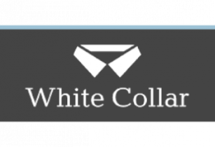 White Collar, бізнес-курс англійської мови