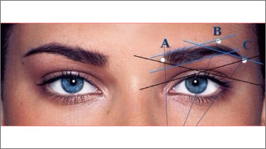 Курс "BROW ARTIST + трідінг"