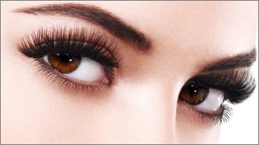 Курс «Brow artist»