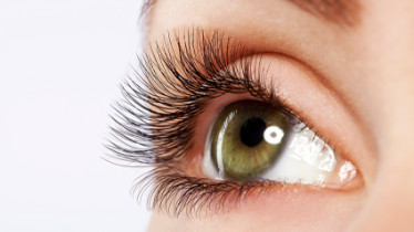 Double курс lash lifting