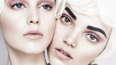 Курс: Brow Pro