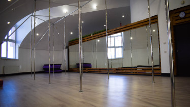 Заняття: Чоловічий Pole Dance