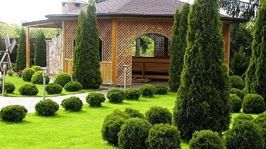 Курси ландшафтного дизайну