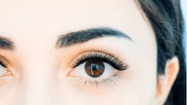 Курс: Lash Maker pro (+Lami maker,Lash botox)