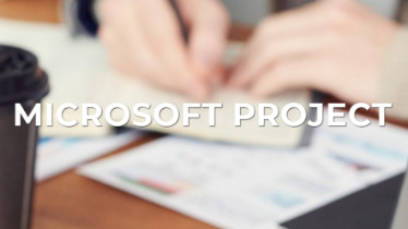 Курсы Microsoft Project / Управление проектами