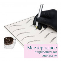 Майстер клас "Перманентний макіяж брів" (Відпрацювання на макетах)