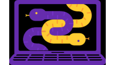 Курс: Програмування Python.Pro