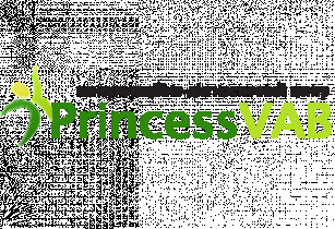 Princess VAB