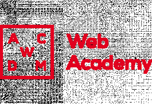 Web Academy